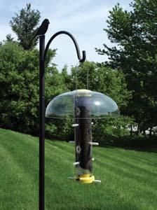 BirdReel Smart Bird Feeder - Now Available at more than 140 Wild Birds  Unlimited stores around the country or on-line at order.wbu.com!